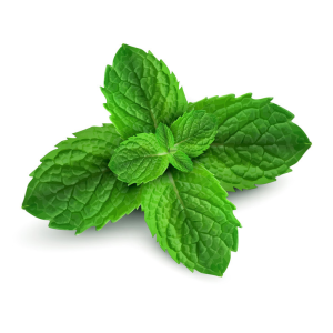 The miracle of peppermint!