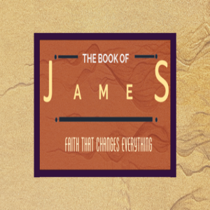 James: Brother and Salve of the Lord Jesus Christ (Paul Hawkes)