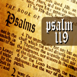 What Should We Feel and Think About God‘s Word? - Psalm 119:161-168 (Paul Hawkes)