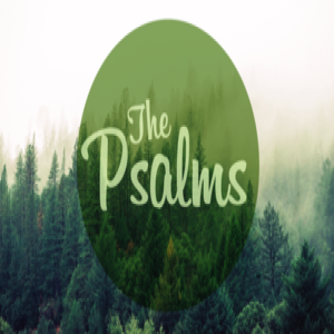 A Psalmist‘s Reflection On Honest Worship - Psalm 1