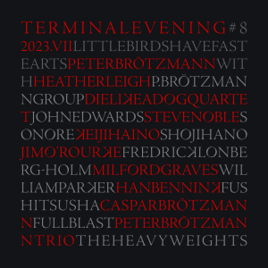 TERMINAL EVENING #8 | LITTLE BIRDS HAVE FAST HEARTS