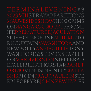 TERMINAL EVENING #9 | STRAY APPARITIONS