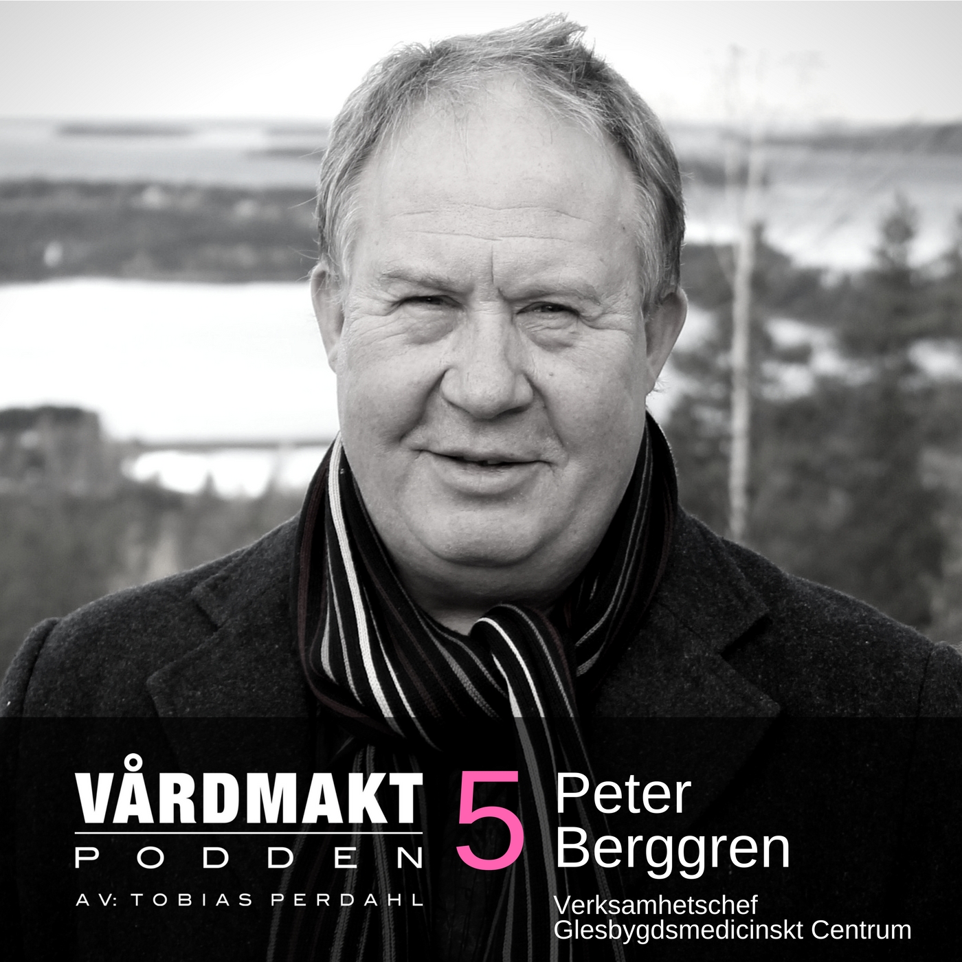 05: Peter Berggren - Telemedicinsk excellens i glesbygd - Vårdmaktpodden