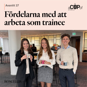 Fördelarna med att arbeta som trainee