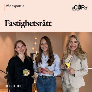 Inom affärsjuridiken: Fastighetsrätt