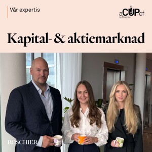 Inom affärsjuridiken: Kapital- och aktiemarknad