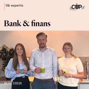 Inom affärsjuridiken: Bank och finans