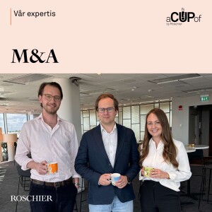 Inom affärsjuridiken: M&A