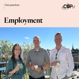 Praktiikkaesittelysarja - Employment