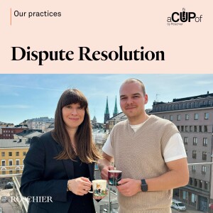 Praktiikkaesittelysarja - Dispute Resolution