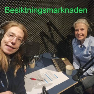 Besiktningsmarknaden