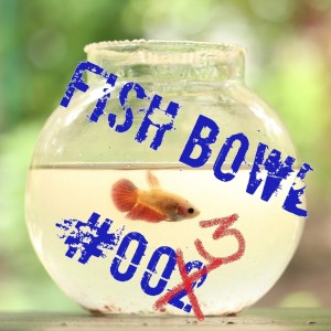 Fish Bowl 3