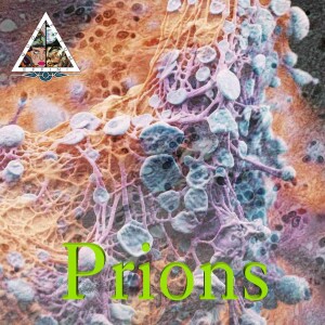 Prions, Something You Didn’t Know You Should Fear Ep. 77