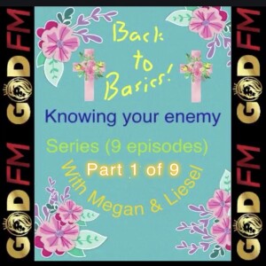 BACK TO BASICS. KNOWING YOUR ENEMY PART 1 OF 9 WITH MEGAN & LIESEL. 8.4.24