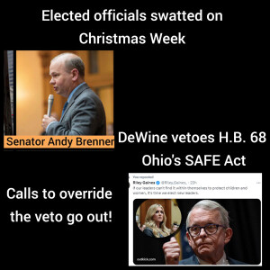 Elected officials swatted - Calls to override the veto on H.B. 68 go out