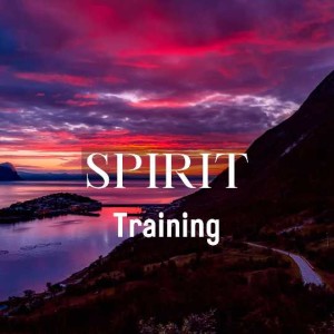 SPIRIT TRAINING
