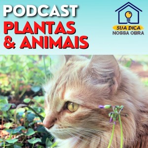 Plantas e Pets em Casa - Sua Dica Nossa Obra 26
