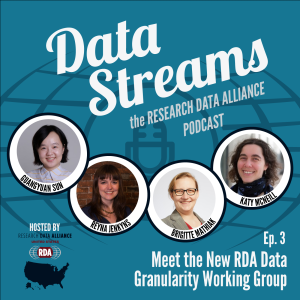 Data Streams Episode 3: Meet the New RDA Data Granularity Working Group