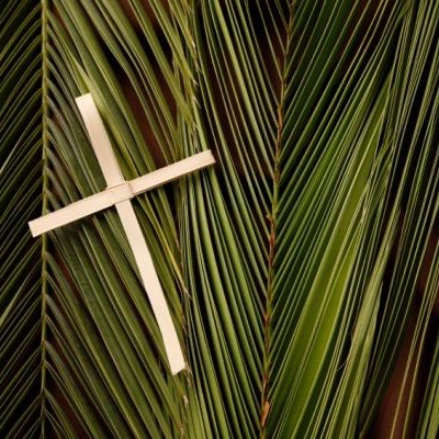 Fr. Peter Dillon - Palm Sunday 2017 - Approaching Holy Week