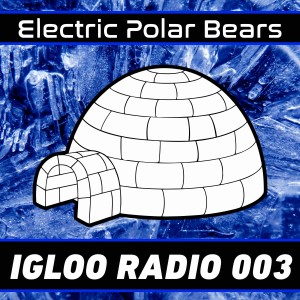 Igloo Radio 003 - Live from Electric Cookout