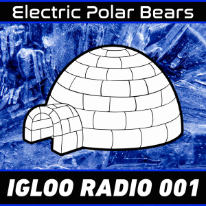 Igloo Radio 001