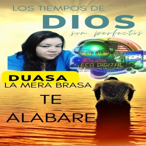 TE _ALABARE 20OCT,2024