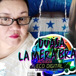 QUE RUMBA  504