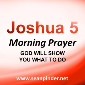 God Will Show You What to Do