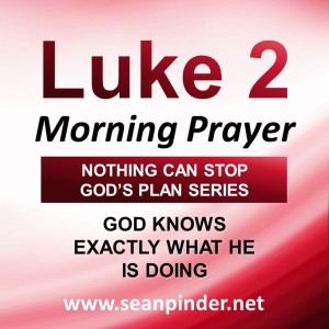God Knows Exactly What He Is Doing
