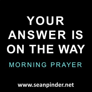Your Answer is On the Way