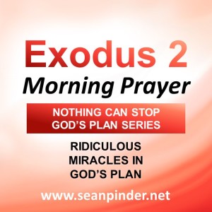 Ridiculous Miracles in God’s Plan