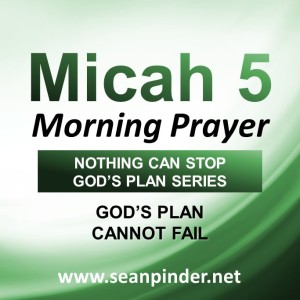 God’s Plan Cannot Fail