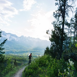 3 Best Mountain Biking Areas in Fernie