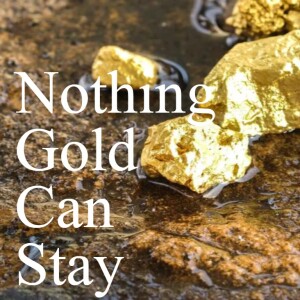 ⛏️💰Nothing Gold Can Stay: A thought experiment about money, wealth, power and the psychology of economy.