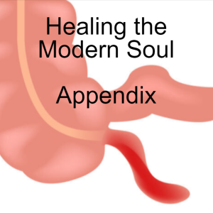 -/+ Healing the Modern Soul Appendix: Psychotherapy as Negative Space