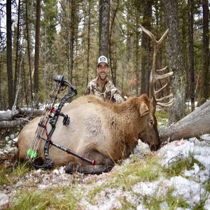 EP81: 2019 Montana Elk, Ben & Lucas