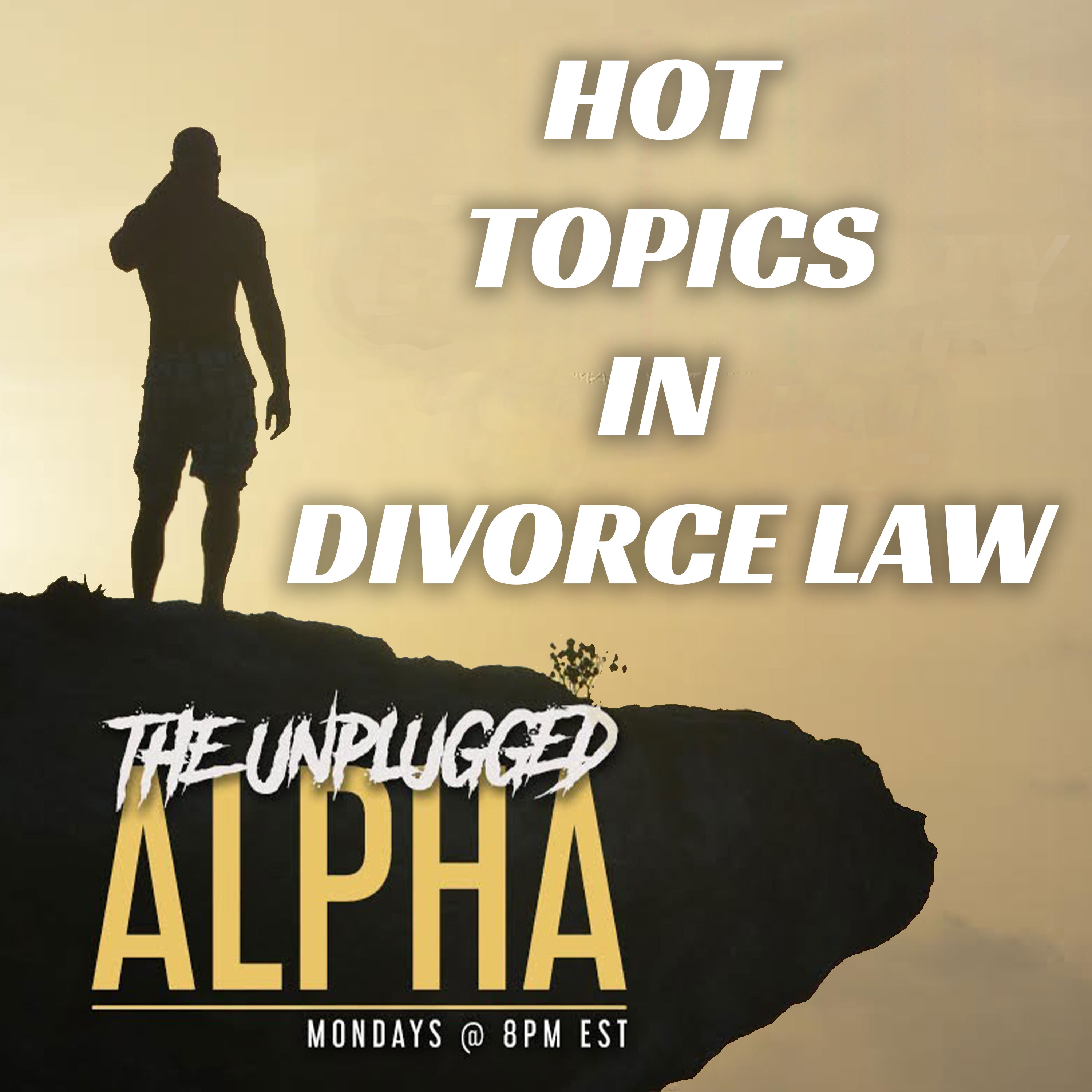 cover of episode 0103 -Hot Topics in Divorce Law w/ @jcnlaw