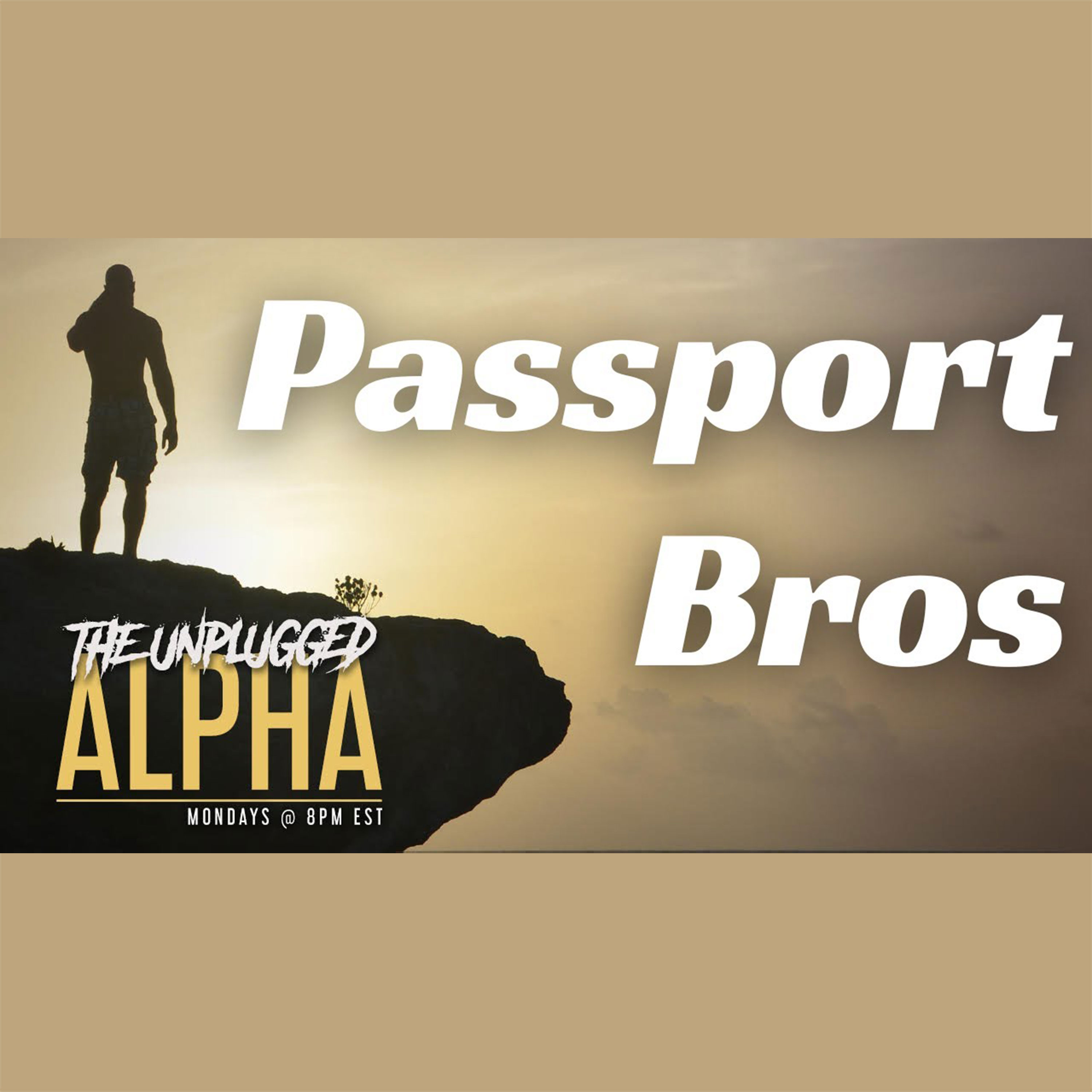 cover of episode 094 - Why Women HATE Passport Bros & How Men Screw it Up