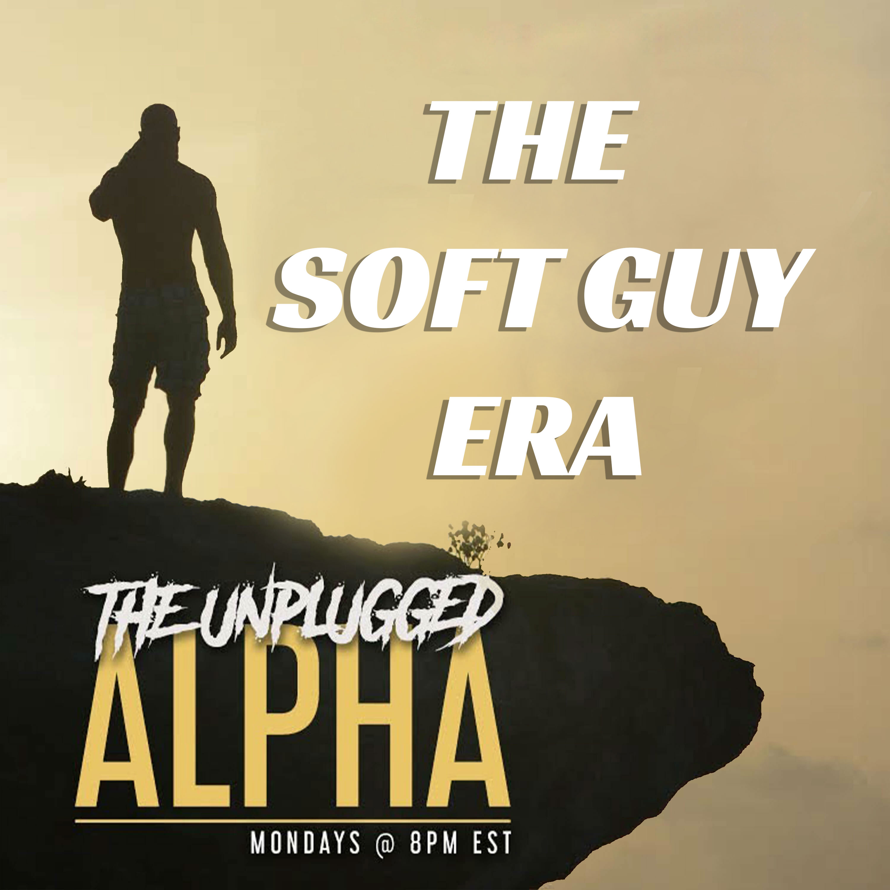 cover of episode 0133 - The 'Soft Guy Era' Joke is Dumb and Backfiring