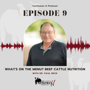 What’s on the Menu? Beef Cattle Nutrition with Paul Beck