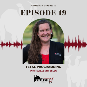 Fetal Programming with Elizabth Belew