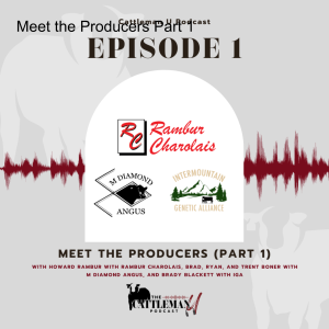 Meet the Producers Part 1