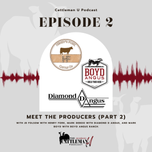 Meet the Producers Part 2