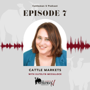 Cattle Markets with Katelyn McCullock