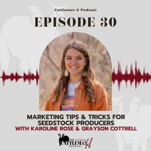 Marketing Tips & Tricks for Seedstock Producers