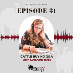 Cattle Buying Q&A with Karoline Rose