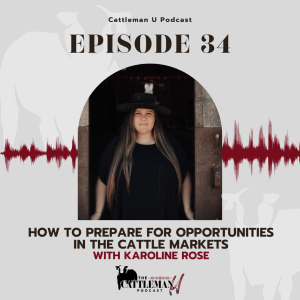 How to Prepare for Opportunities in the Cattle Markets