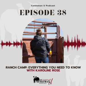 Ranch Camp: Everything You Need to Know