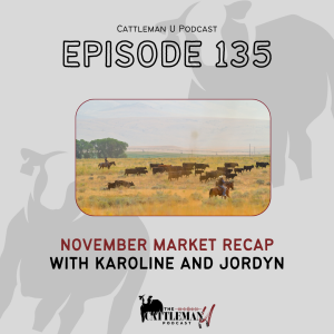 November Market Recap with Karoline and Jordyn