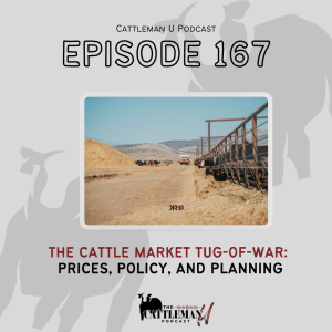 The Cattle Market tug-of-War: Prices, Policy, and Planning